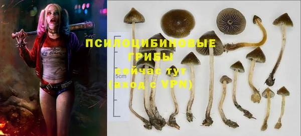 спайс Алексин